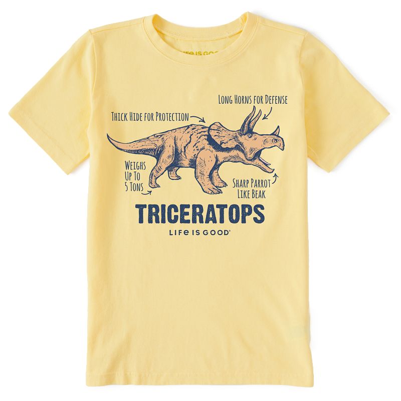 Kids Crusher Tee Triceratops