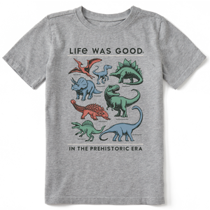 Kids Crusher Tee - Life was Good Prehistoric (Heather Gray)