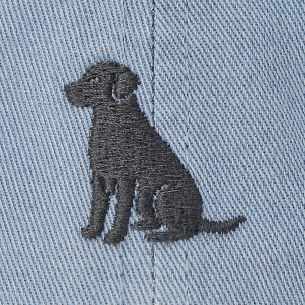 Chill Cap - Wag On Dog