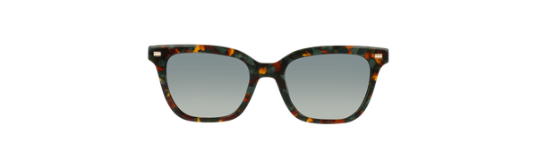 Sunglasses Zaley - Green Tortoise